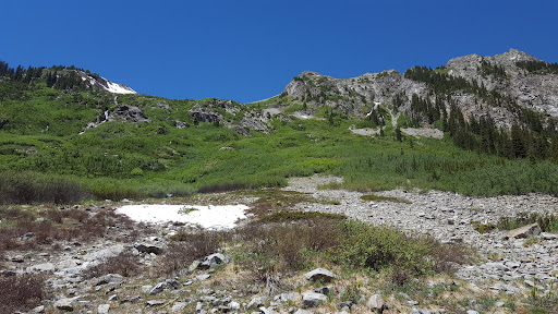 Conundrum Hot Springs - Photo 6