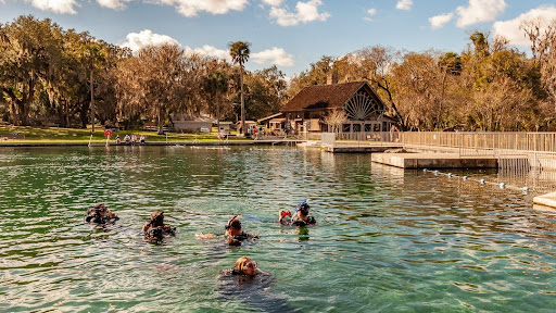 De Leon Springs - Photo 1