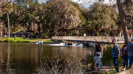 De Leon Springs - Photo 4