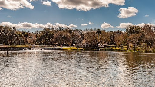 De Leon Springs - Photo 6