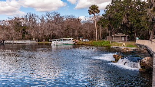 De Leon Springs - Photo 7