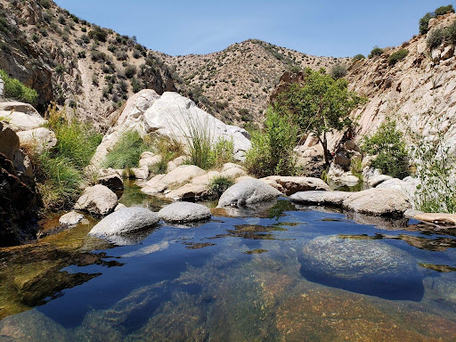 Deep Creek Hot Springs - Photo 4