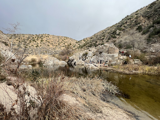 Deep Creek Hot Springs - Photo 7