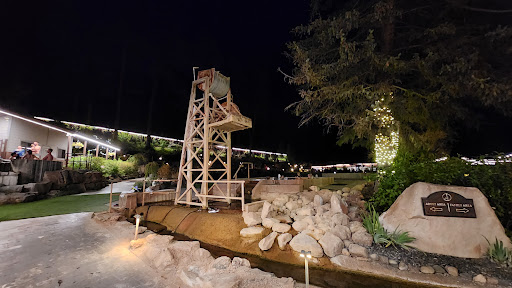 Durango Hot Springs - Photo 6
