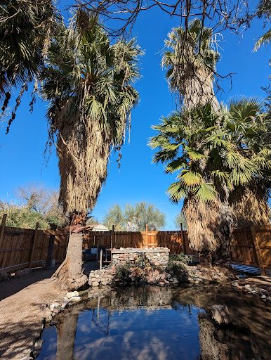 El Dorado Hot Springs - Photo 3