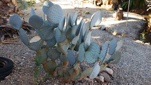 El Dorado Hot Springs - Photo 6