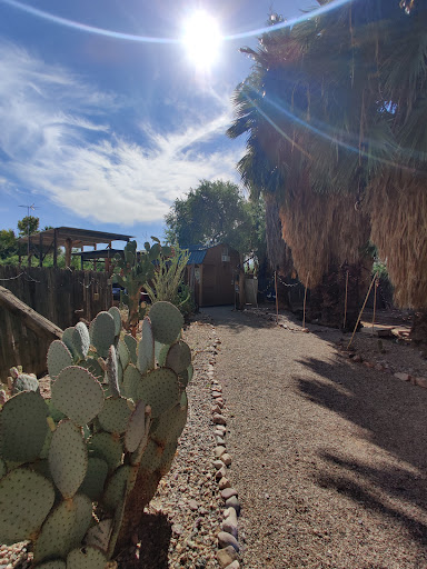 El Dorado Hot Springs - Photo 7