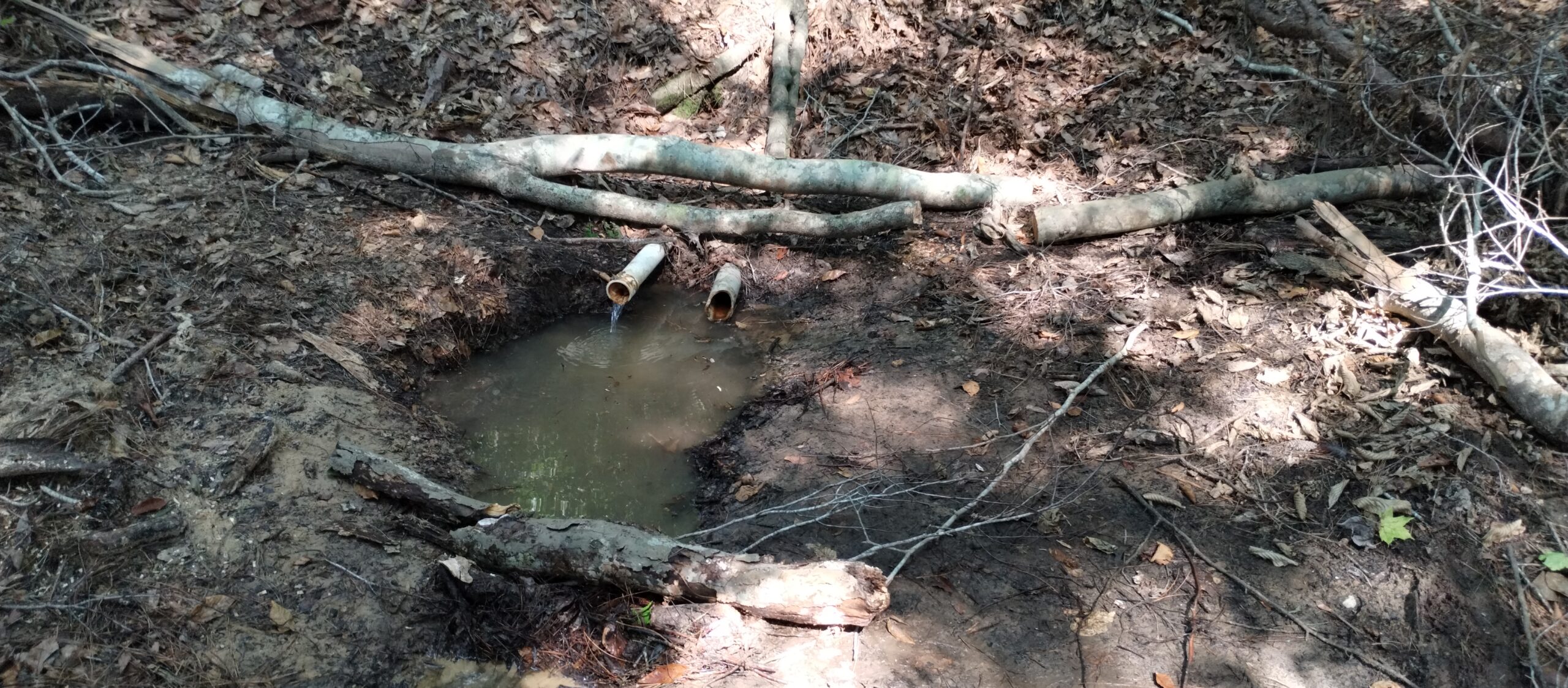Elgin spring