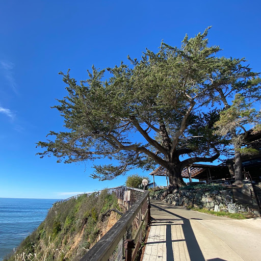 Esalen Hot Springs - Photo 8
