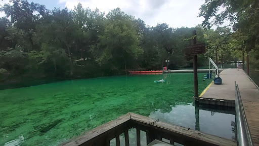 Fanning Springs State Park - Photo 2