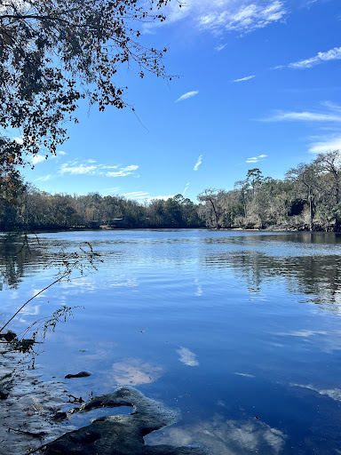 Fanning Springs State Park - Photo 5