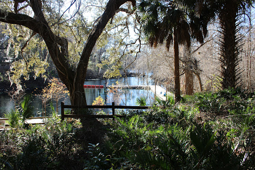 Fanning Springs State Park - Photo 6