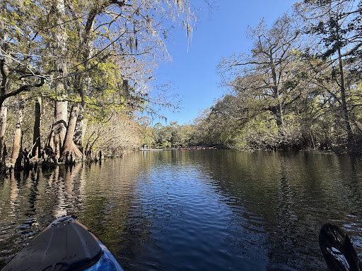 Fanning Springs State Park - Photo 7