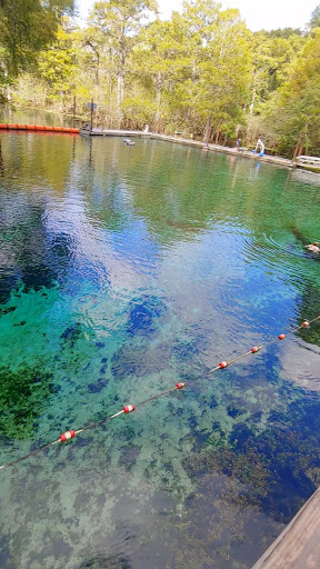 Fanning Springs State Park - Photo 8