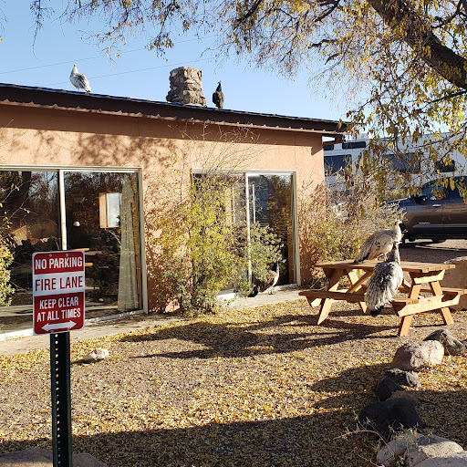 Faywood hot springs new mexico - Photo 5