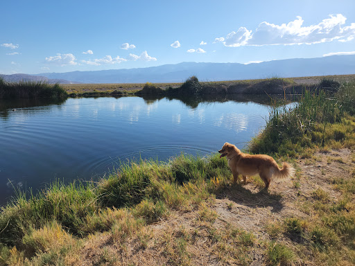 Fish Lake Hot Springs - Photo 3