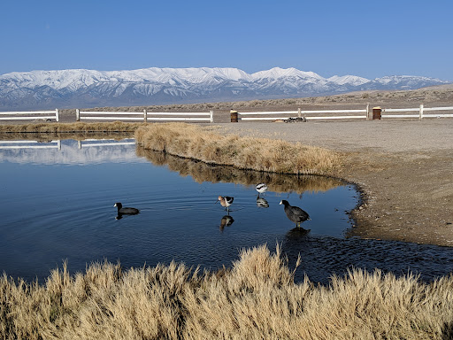 Fish Lake Hot Springs - Photo 6