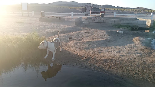 Fish Lake Hot Springs - Photo 8