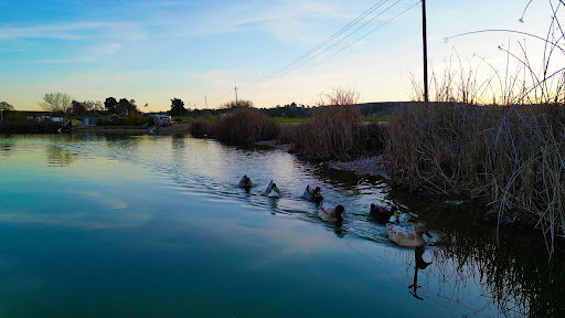 Franklin Hot Springs - Photo 1