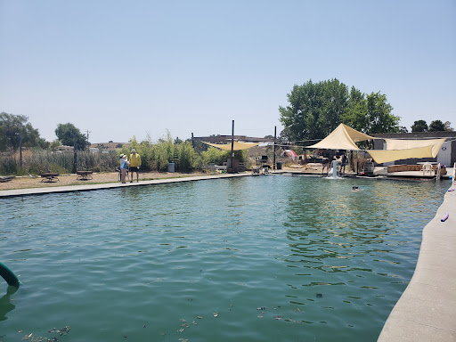 Franklin Hot Springs - Photo 4