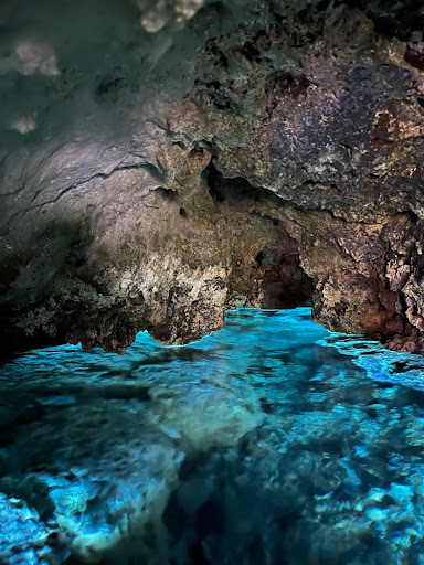 Gandy Warm Springs - Photo 2