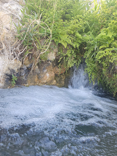 Gandy Warm Springs - Photo 6