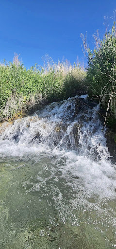 Gandy Warm Springs - Photo 7