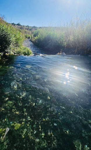 Gandy Warm Springs - Photo 8