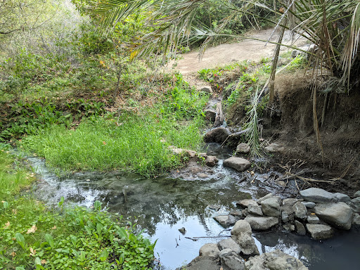 Gaviota Hot Springs - Photo 1