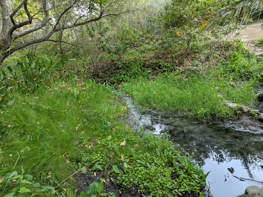 Gaviota Hot Springs - Photo 4