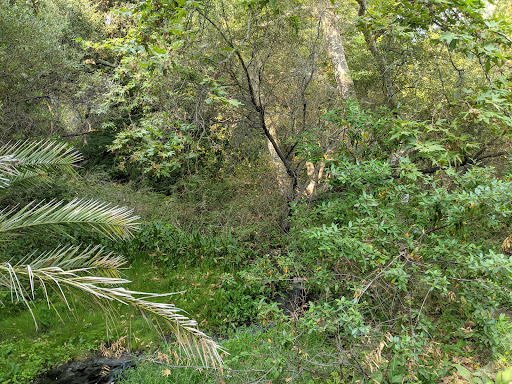 Gaviota Hot Springs - Photo 5