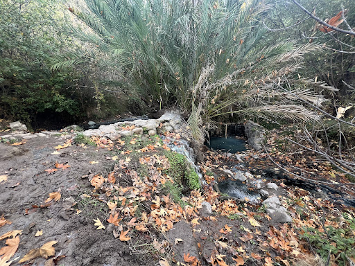 Gaviota Hot Springs - Photo 7