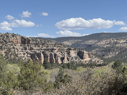 Gila Hot Springs Ranch - Photo 2