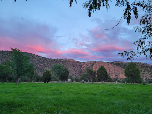 Gila Hot Springs Ranch - Photo 3