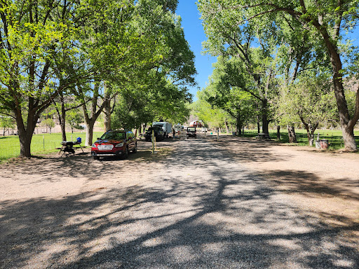 Gila Hot Springs Ranch - Photo 7