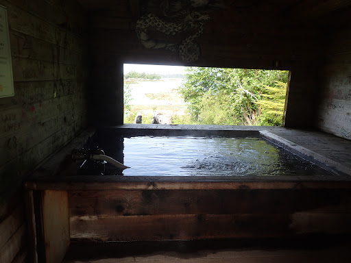 Goddard Hot Springs - Photo 3