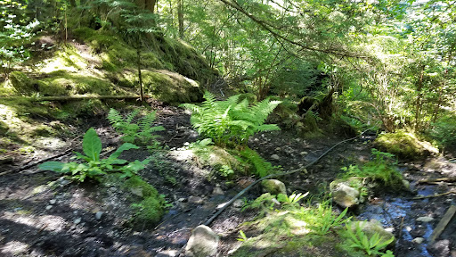 Goddard Hot Springs - Photo 6
