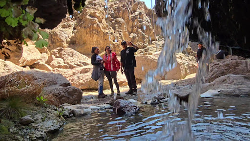 Gold Strike Hot Springs - Photo 2
