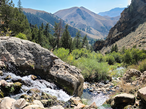 Goldbug Hot Springs - Photo 1