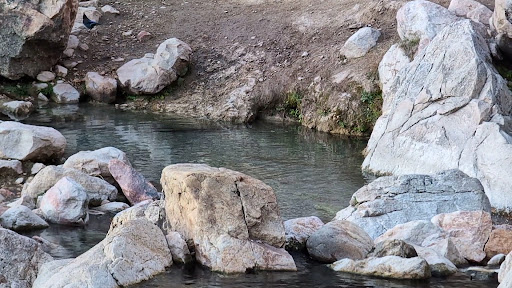 Goldbug Hot Springs - Photo 2