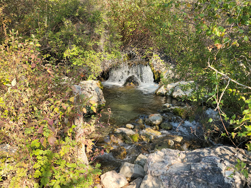 Goldbug Hot Springs