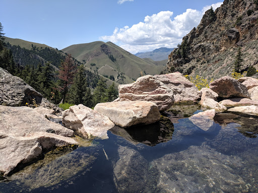 Goldbug Hot Springs - Photo 7