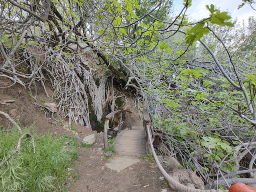 Harbin Hot Springs