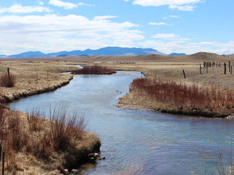 Hartsel Hot Springs