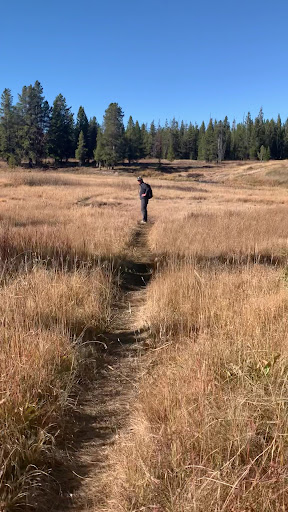 Huckleberry Hot Springs - Photo 2
