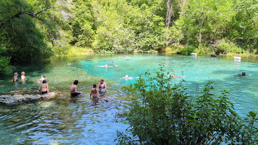 Ichetucknee Springs State Park - Photo 2