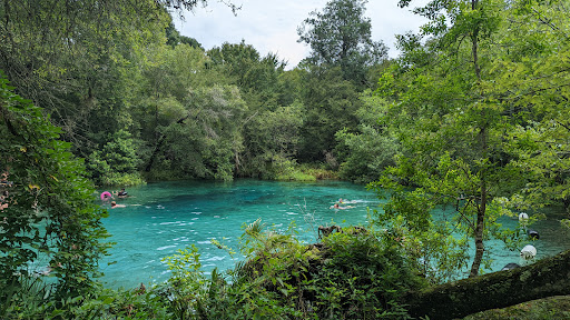 Ichetucknee Springs State Park