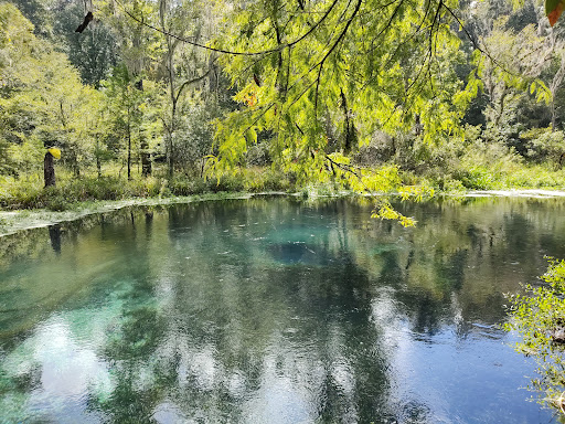 Ichetucknee Springs State Park - Photo 5