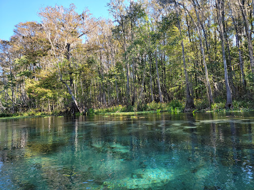 Ichetucknee Springs State Park - Photo 6