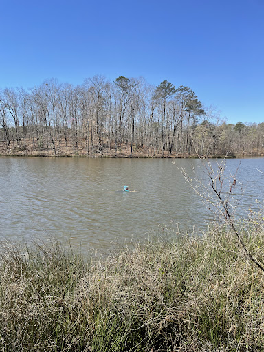 Indian Springs State Park - Photo 5